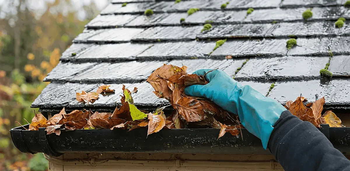 Gutter cleaning technician clearing wet leaves from roof gutters in Buffalo, NY